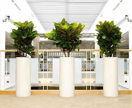visit our gallery our gallery view our services hire office