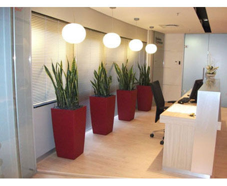 corporate plant hire melbourne event plant hire melbourne hire office