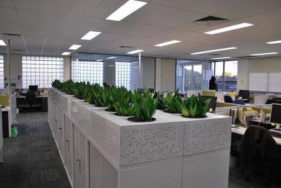CBD_Plant_Hire.JPG