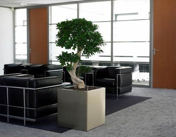 Indoor-plant-hire-A3.jpg