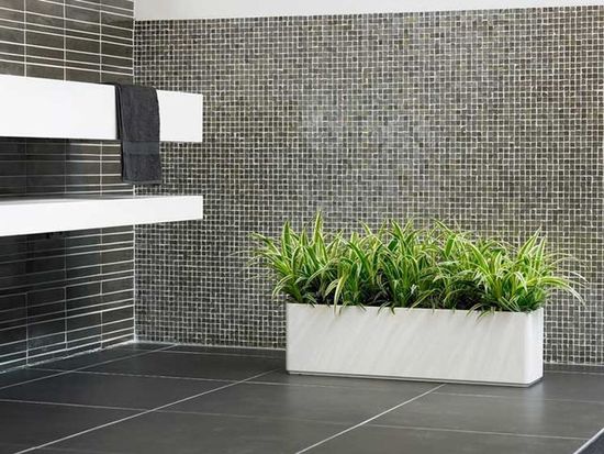 IndoorPlant88.jpg