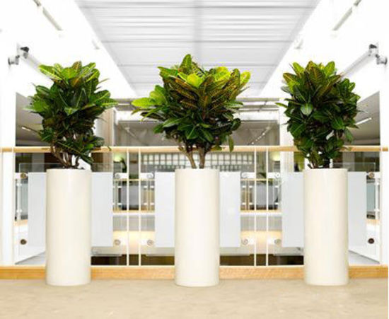 Office-Plant-Hire-1.jpg