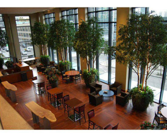 Office-Plant-Hire-10.jpg