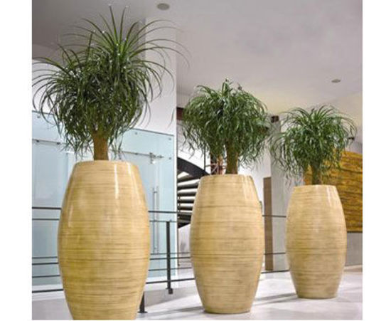 Office-Plant-Hire-13.jpg