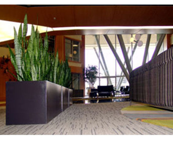 Office-Plant-Hire-3.jpg
