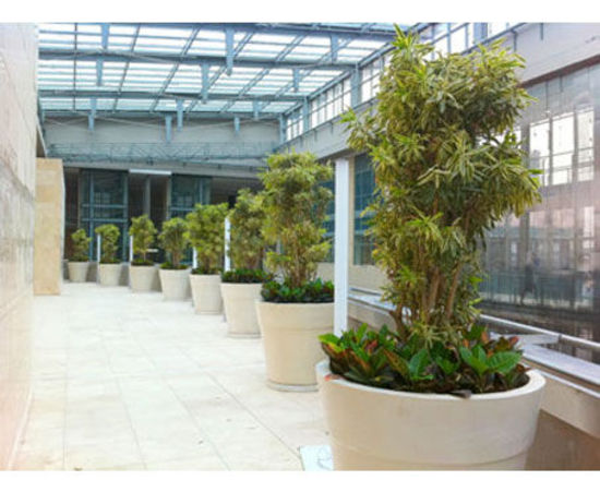 Office-Plant-Hire-4.jpg