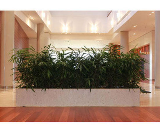 Office-Plant-Hire-5.jpg