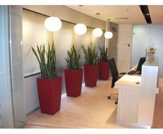 Office-Plant-Hire-6.jpg