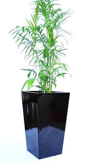Office-Plant-Hire-E1.JPG
