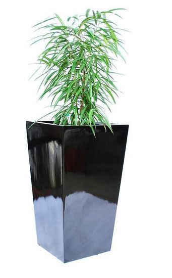 Office-Plant-Hire-E2.JPG