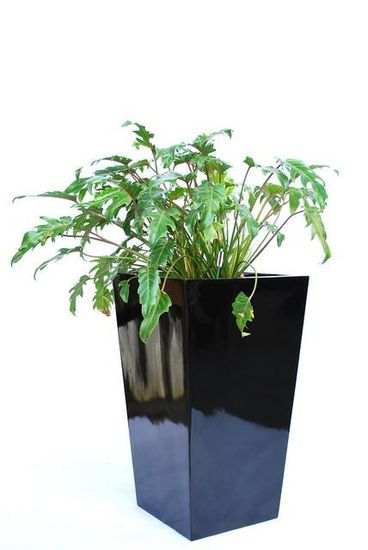 Office-Plant-Hire-E5.JPG