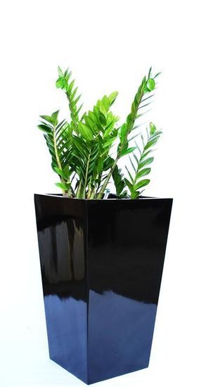Office-Plant-Hire-E6.JPG