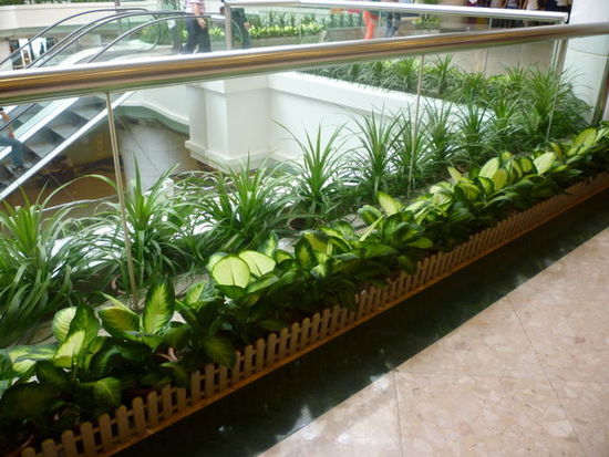 P1010314.jpg
