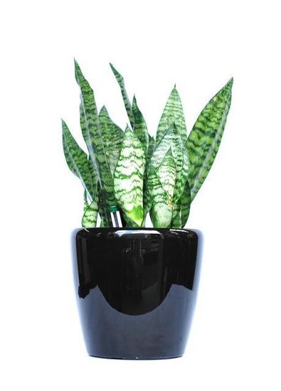 Plant-Hire-D3.JPG