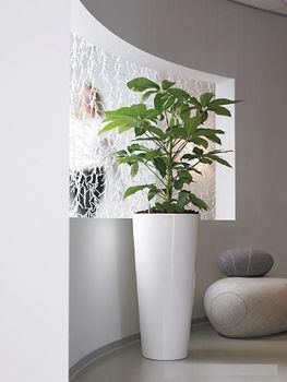 indoor-plant-hire-A9.jpg