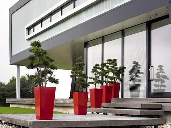 indoor-plant-hire-a15.jpg