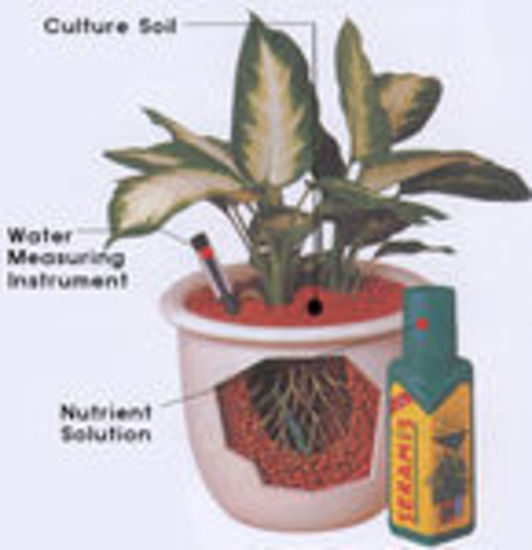 plant-hire-melbourne3.jpg