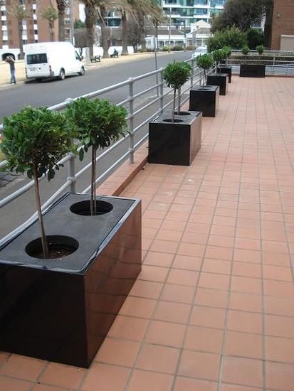 plant_hire_CBD.JPG