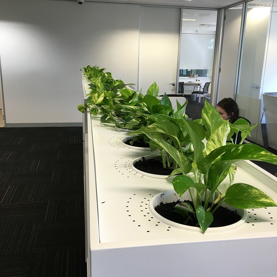 Pots &a   mp;amp; Planters Choice | Indoor Pots | Outdoor Planters
