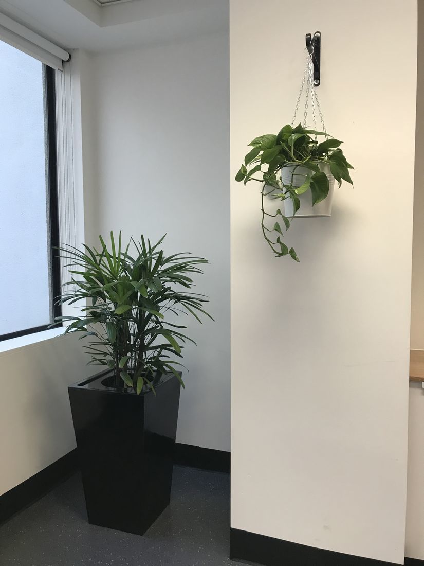 Visit Our Gallery Our Gallery View Our Services