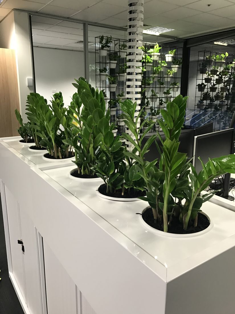 pots & planters choice indoor pots outdoor planters