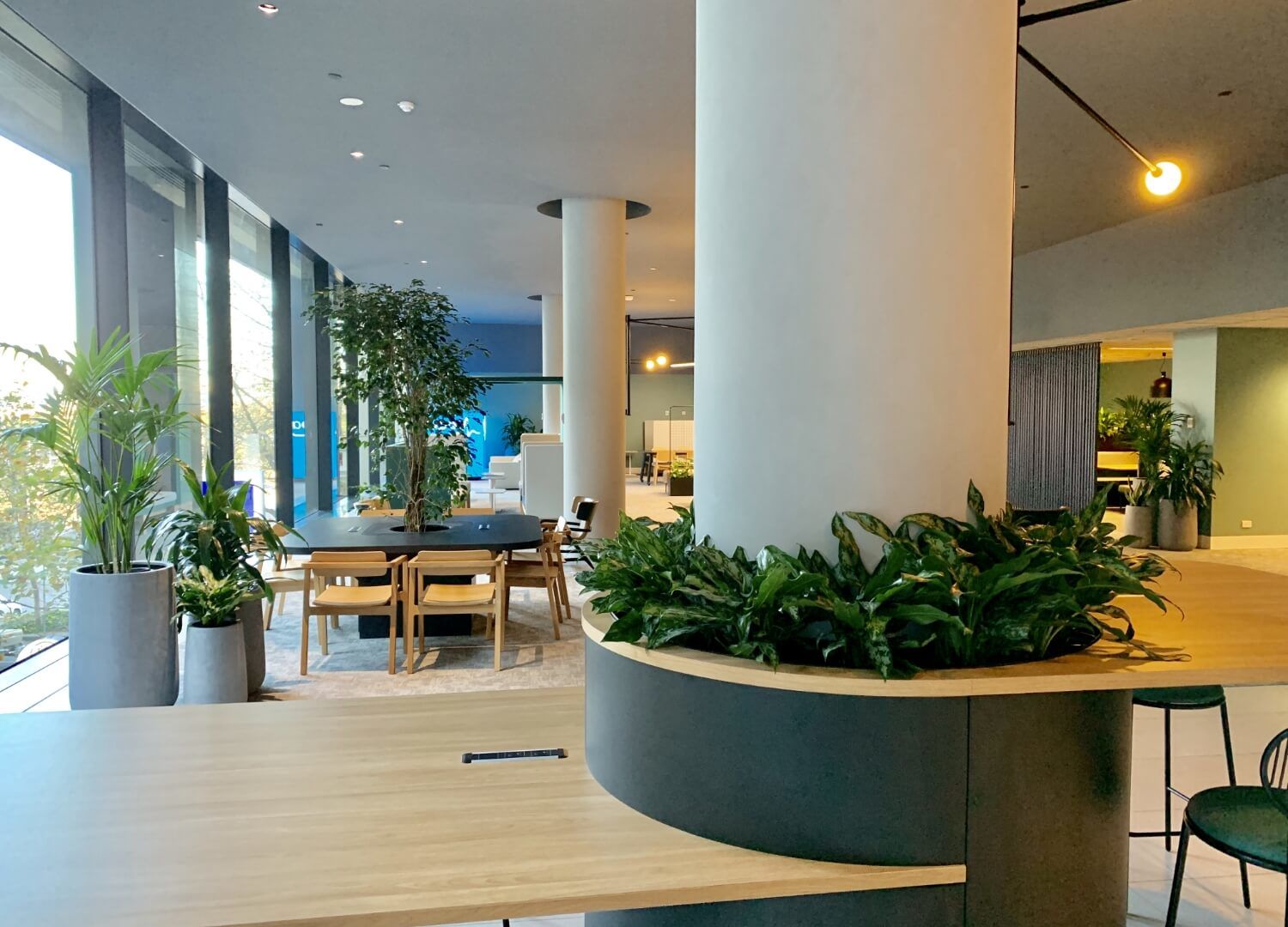 Long Term Plant Maintenance Services