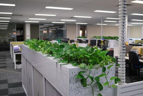 Plant hire Melbourne