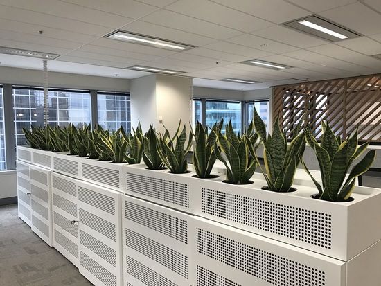 Plant hire Melbourne